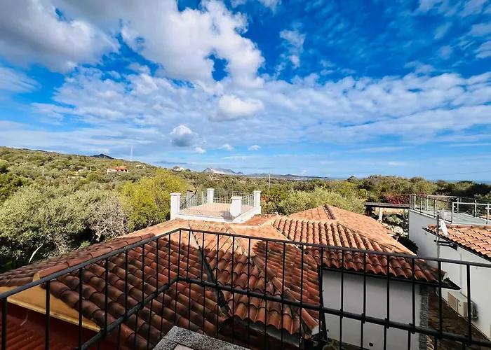 Suaredda Di Supra Lu Lioni